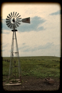 windmill dreams